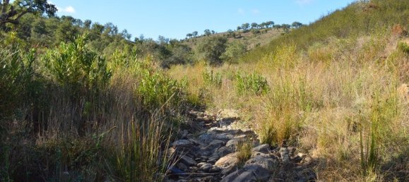 Grundstück in Almodovar, Portugal 846325m², Nr. 332473 47