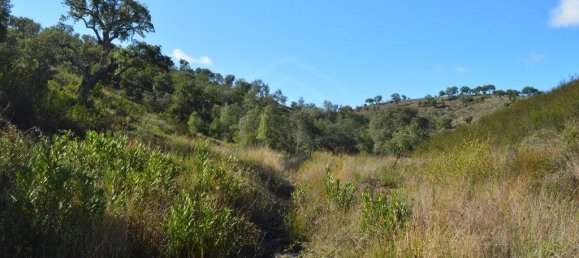 Grundstück in Almodovar, Portugal 846325m², Nr. 332473 49