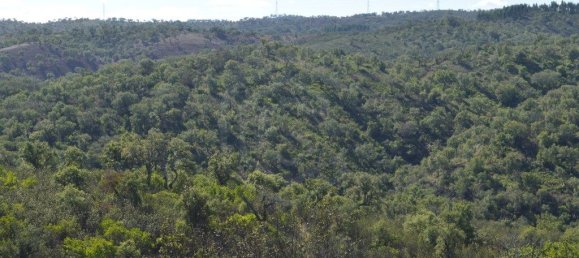 Grundstück in Almodovar, Portugal 846325m², Nr. 332473 4