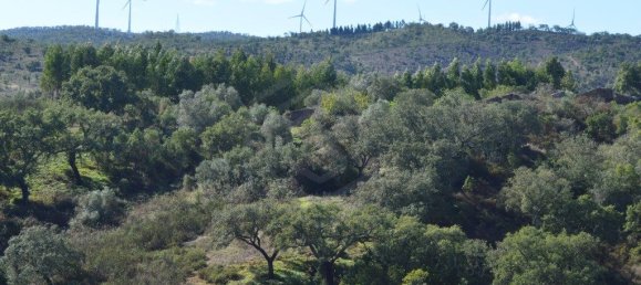 Grundstück in Almodovar, Portugal 846325m², Nr. 332473 8
