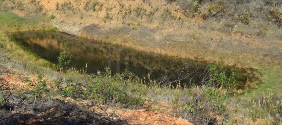 Grundstück in Almodovar, Portugal 846325m², Nr. 332473 31