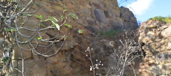 Grundstück in Almodovar, Portugal 846325m², Nr. 332473 12