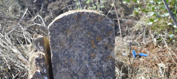 Grundstück in Almodovar, Portugal 846325m², Nr. 332473 50