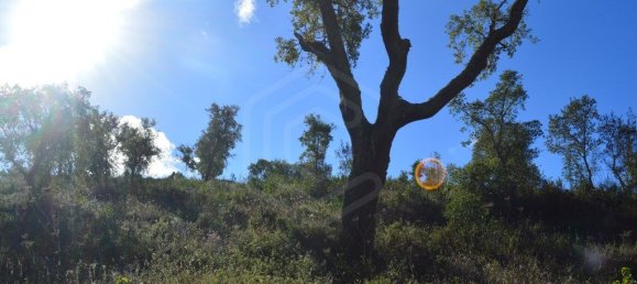 Grundstück in Almodovar, Portugal 846325m², Nr. 332473 42