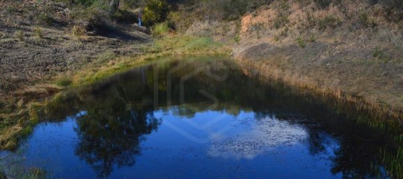 Grundstück in Almodovar, Portugal 846325m², Nr. 332473 21