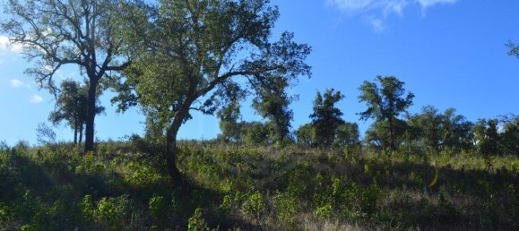 Grundstück in Almodovar, Portugal 846325m², Nr. 332473 46