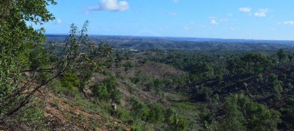 Grundstück in Almodovar, Portugal 846325m², Nr. 332473 24