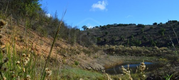 Grundstück in Almodovar, Portugal 846325m², Nr. 332473 32