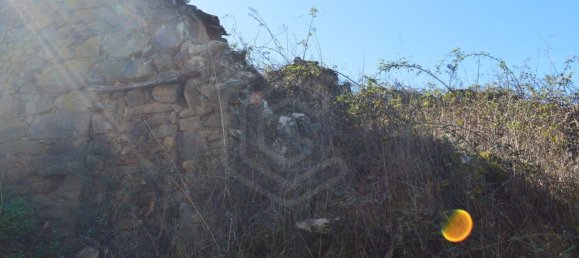 Grundstück in Almodovar, Portugal 846325m², Nr. 332473 15