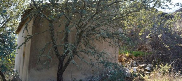 Grundstück in Almodovar, Portugal 846325m², Nr. 332473 16