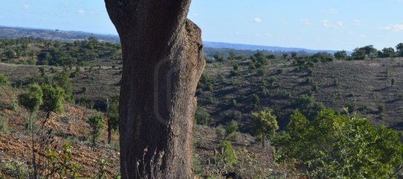 Grundstück in Almodovar, Portugal 846325m², Nr. 332473 27