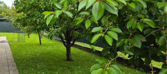 6غرفة منزل في Traiskirchen, Austria رقم 226175 11