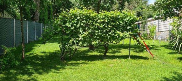 5 rooms House in Drabsburg, Austria No. 137170 10