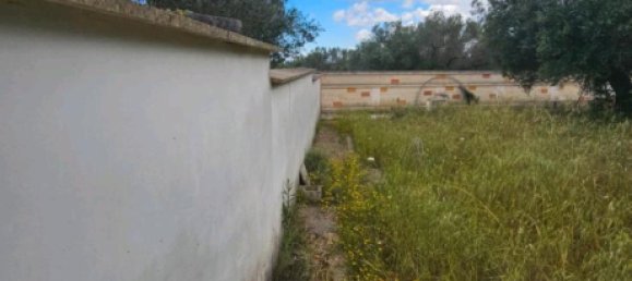 Вилла с 4 спальнями в Ульм, Германия № 291857 13