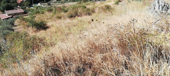 Terreno en Piana degli Albanesi, Italy No. 365084 10