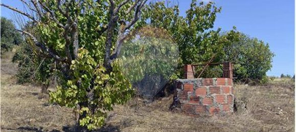 2 chambres Maison à Arruda dos Vinhos, Portugal No. 46277 6