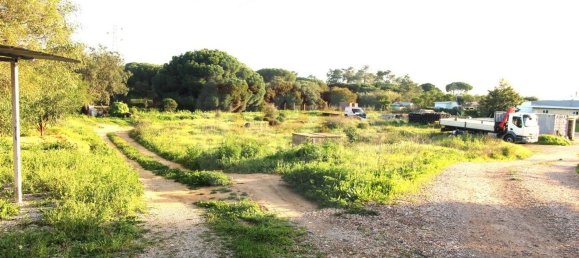 10000m² Land in Quarteira, Portugal No. 48589 3