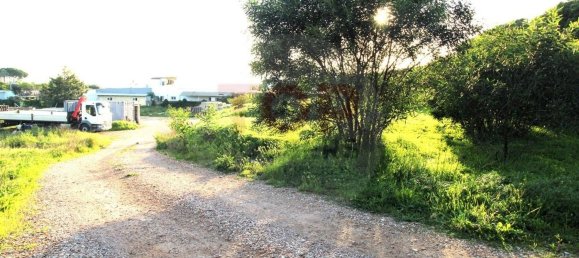 10000m² Land in Quarteira, Portugal No. 48589 5
