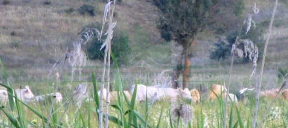Terrain à Castro Marim, Portugal 3080m² No. 55283 8