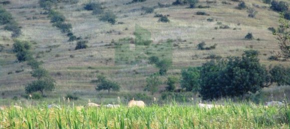 Terrain à Castro Marim, Portugal 3080m² No. 55283 2