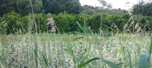 Terrain à Castro Marim, Portugal 3080m² No. 55283 7