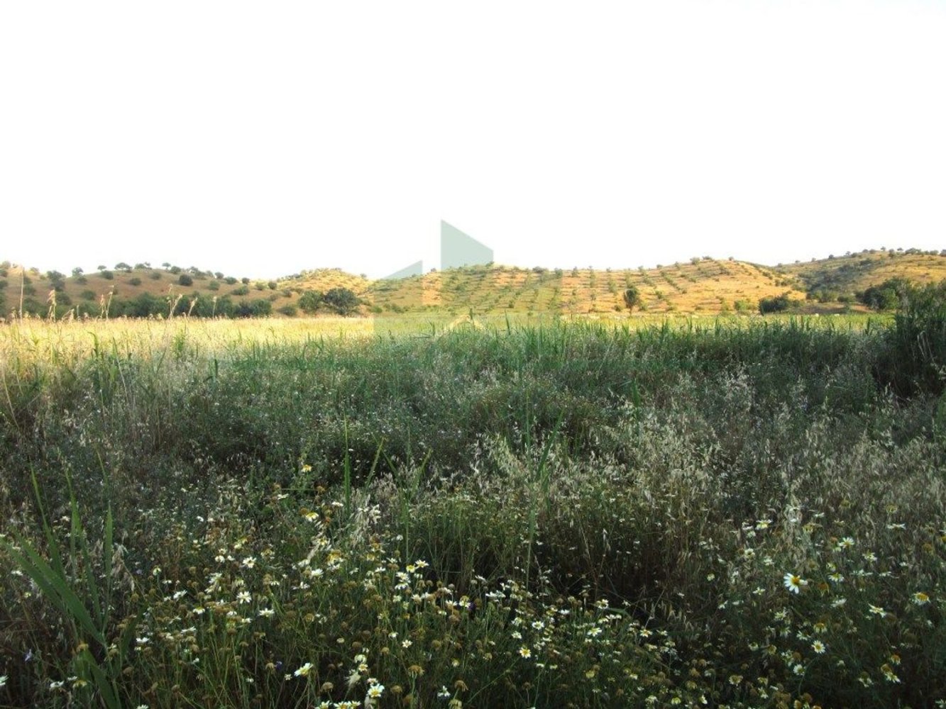 Terrain à Castro Marim, Portugal 3080m² No. 55283