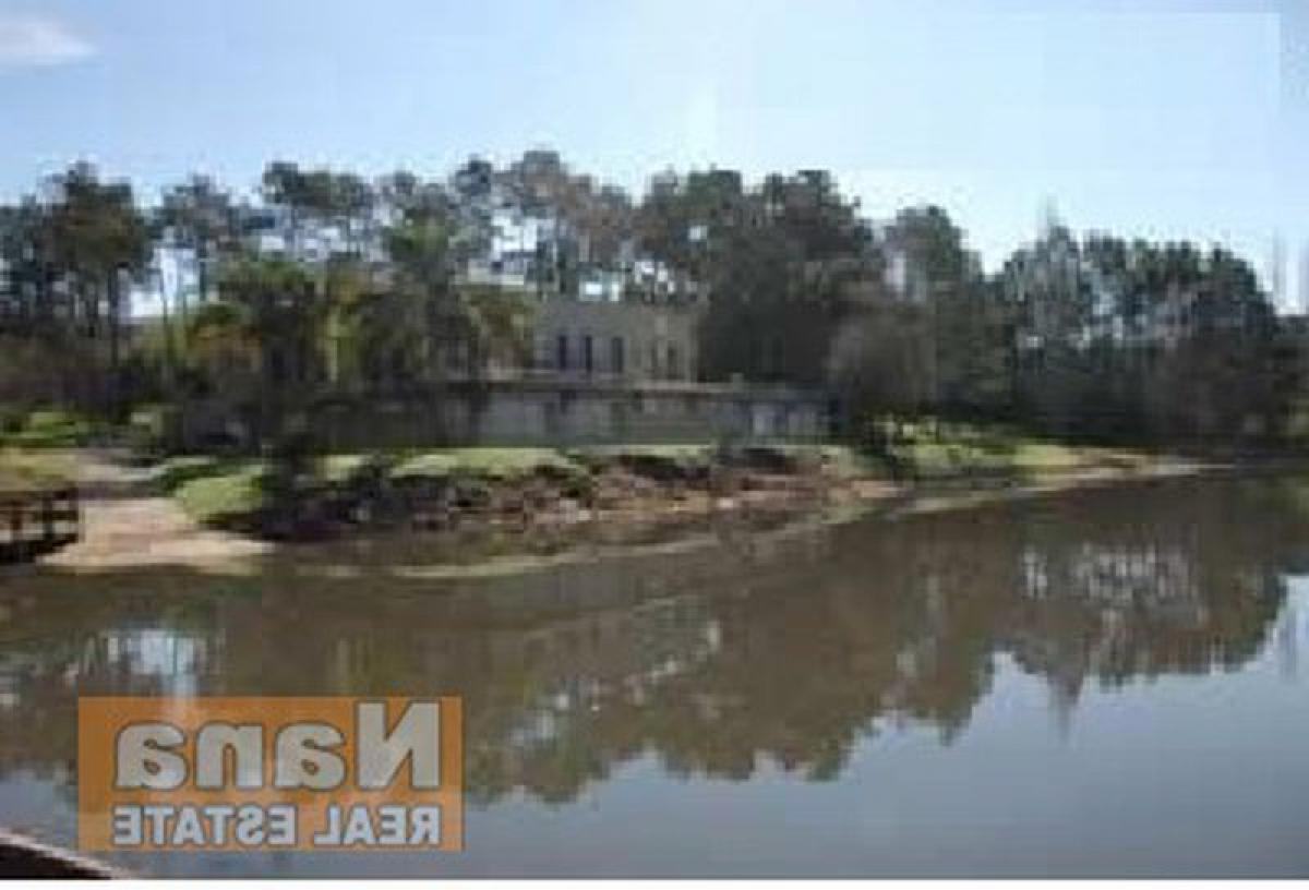 Ferme à Maldonado, Uruguay No. 14618