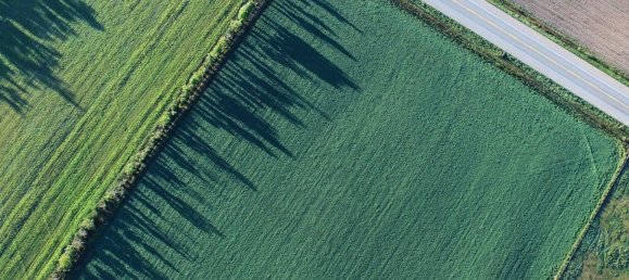 4غرفة منزل في Vallo della Lucania, Italy رقم 97830 22