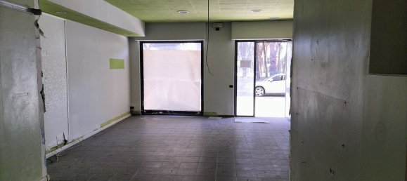 Escritório em Carrara, Italy 59 m² N.º 256315 5