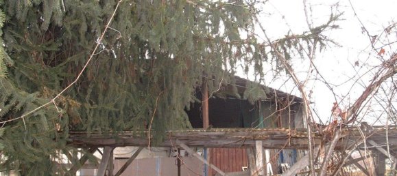 Дом с 3 комнатами в Пьянфей, Италия № 65390 4