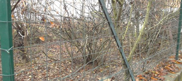 Дом с 3 комнатами в Пьянфей, Италия № 65390 22