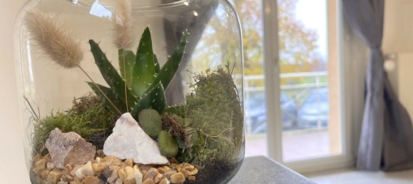 1 bedroom Apartment in Quatzenheim, France No. 253420 4