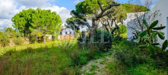 5 غرف نوم فيلا في Grandola, Portugal رقم 123961 27