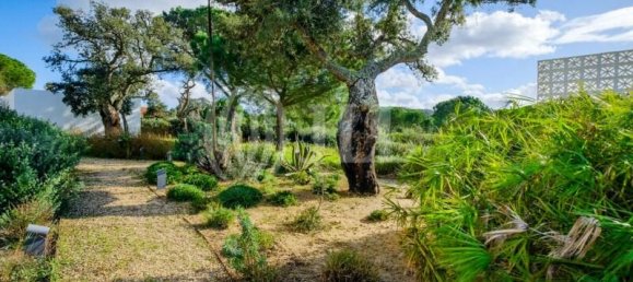 5 غرف نوم فيلا في Grandola, Portugal رقم 123961 5