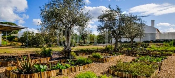 5 غرف نوم فيلا في Grandola, Portugal رقم 123961 39