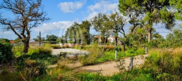 5 غرف نوم فيلا في Grandola, Portugal رقم 123961 43