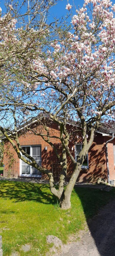 3 Schlafzimmer Haus in Rendsburg-Eckernförde, Germany, Nr. 371076