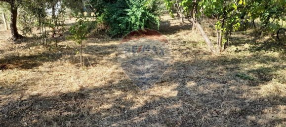 10 bedrooms House in Città Sant'Angelo, Italy No. 356050 45