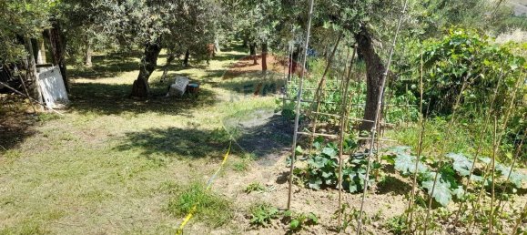 10 bedrooms House in Città Sant'Angelo, Italy No. 356050 46