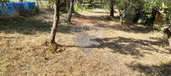 10 bedrooms House in Città Sant'Angelo, Italy No. 356050 44