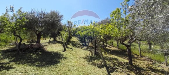 10 bedrooms House in Città Sant'Angelo, Italy No. 356050 47