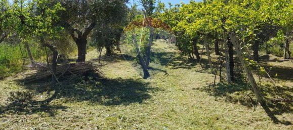 10 bedrooms House in Città Sant'Angelo, Italy No. 356050 49