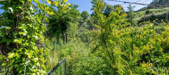 Casa T6 em Vieira do Minho, Portugal N.º 159015 23