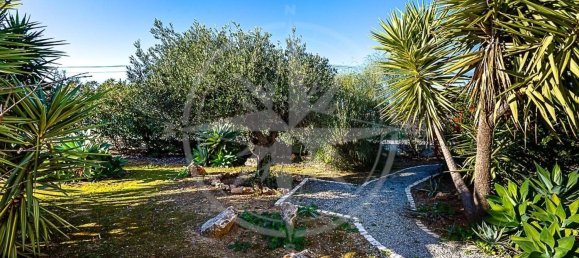 4 Schlafzimmer Haus in Tavira, Portugal, Nr. 122309 31
