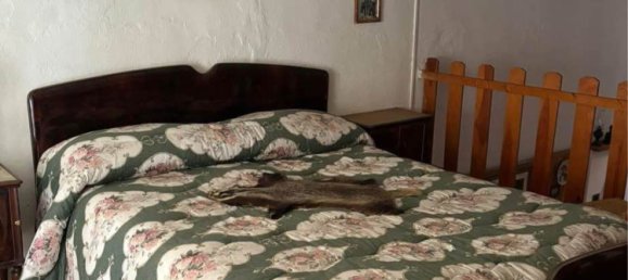 Studio in Ghemme, Italy No. 284473 4