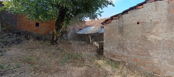Casa de 4 dormitorios en Ansiao, Portugal No. 29191 3