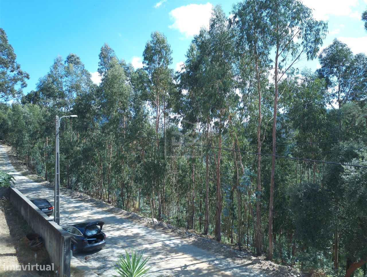 Grundstück in Castelo de Paiva, Portugal 3869m², Nr. 335088