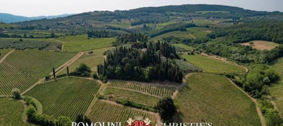 Villa de 14 dormitorios en San Casciano in Val di Pesa, Italy No. 126767 8