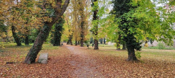 12غرفة فيلا في Pottendorf, Austria رقم 57788 9