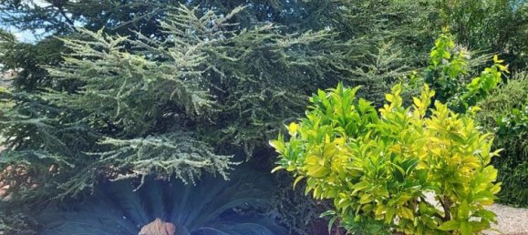 4 bedrooms Villa in Chania, Greece No. 132 3